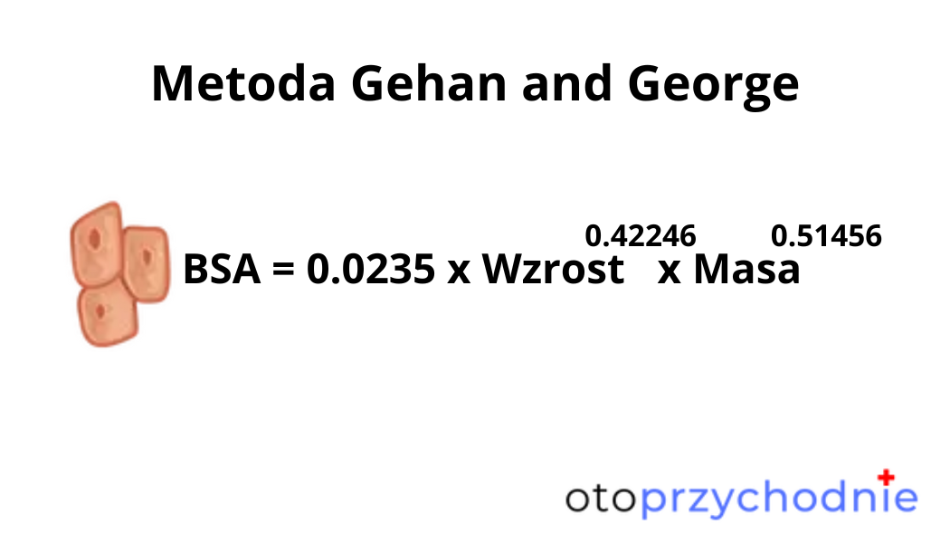 Wzór na BSA - Body Surface Area - metoda Gehan and George